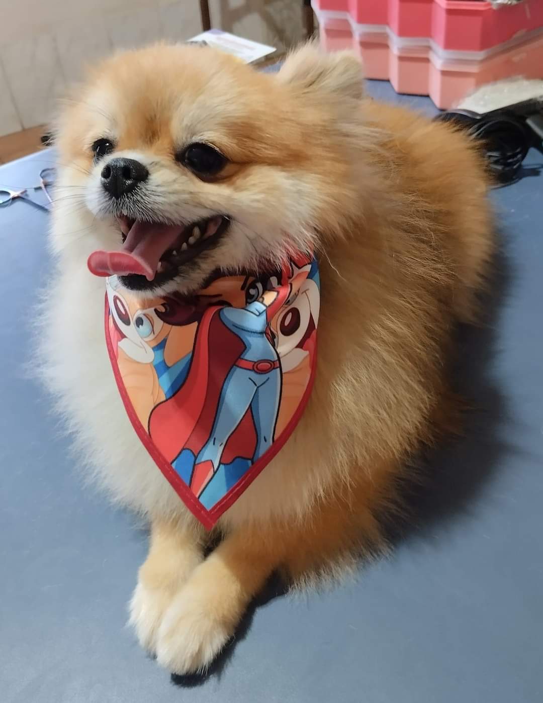 Foto